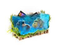 Under the Sea